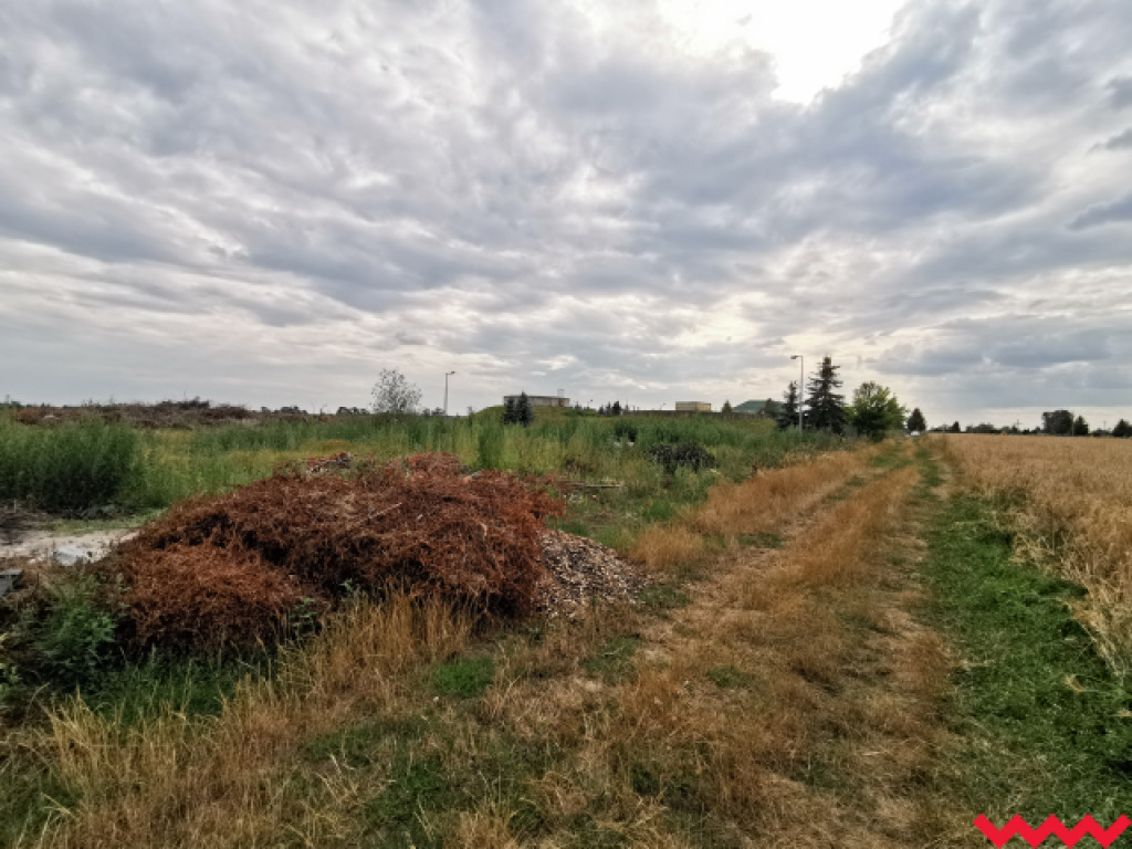 Żybura jak płynęła Wrześnicą tak płynie. Kolejne zanieczyszczenie rzeki