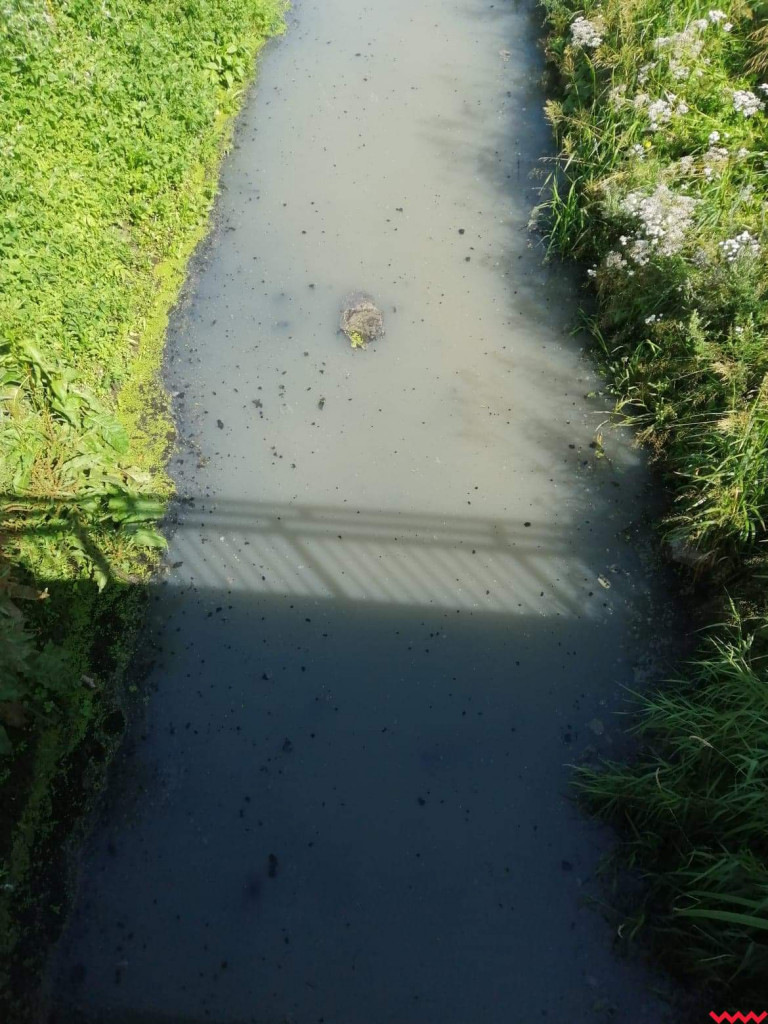 Żybura jak płynęła Wrześnicą tak płynie. Kolejne zanieczyszczenie rzeki