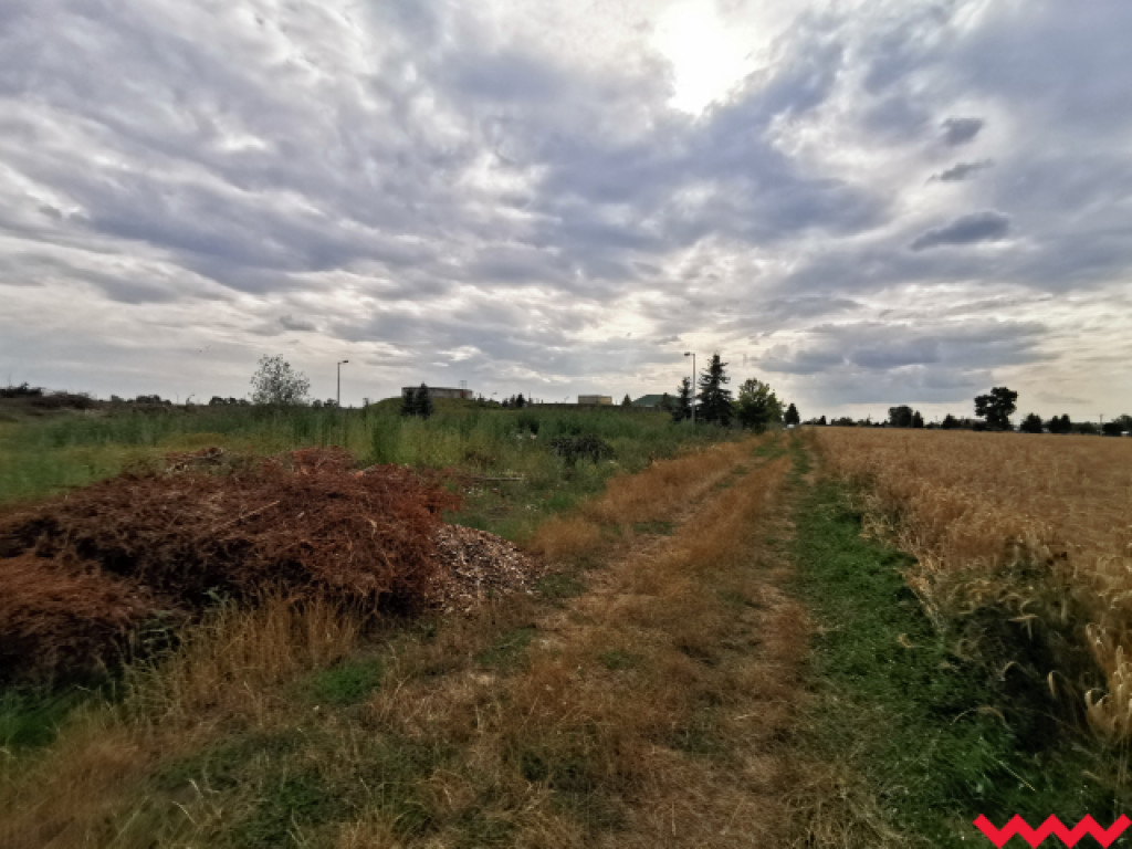 Żybura jak płynęła Wrześnicą tak płynie. Kolejne zanieczyszczenie rzeki