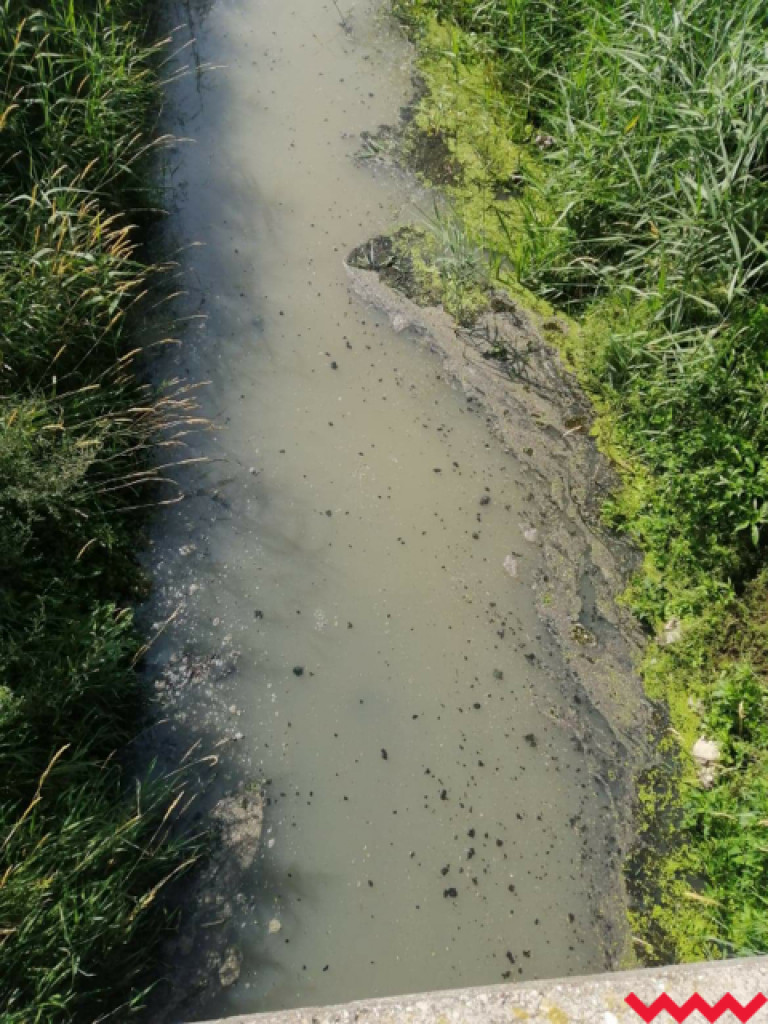 Żybura jak płynęła Wrześnicą tak płynie. Kolejne zanieczyszczenie rzeki