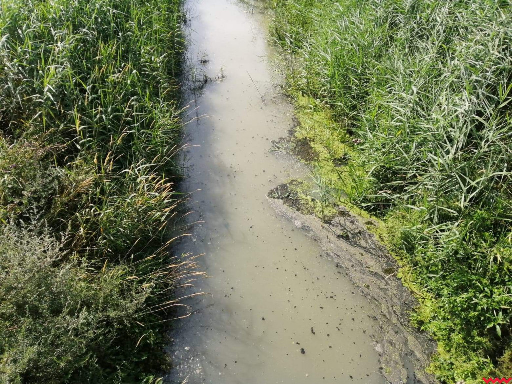 Żybura jak płynęła Wrześnicą tak płynie. Kolejne zanieczyszczenie rzeki