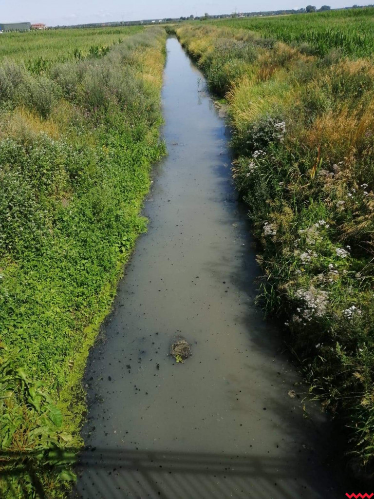 Żybura jak płynęła Wrześnicą tak płynie. Kolejne zanieczyszczenie rzeki