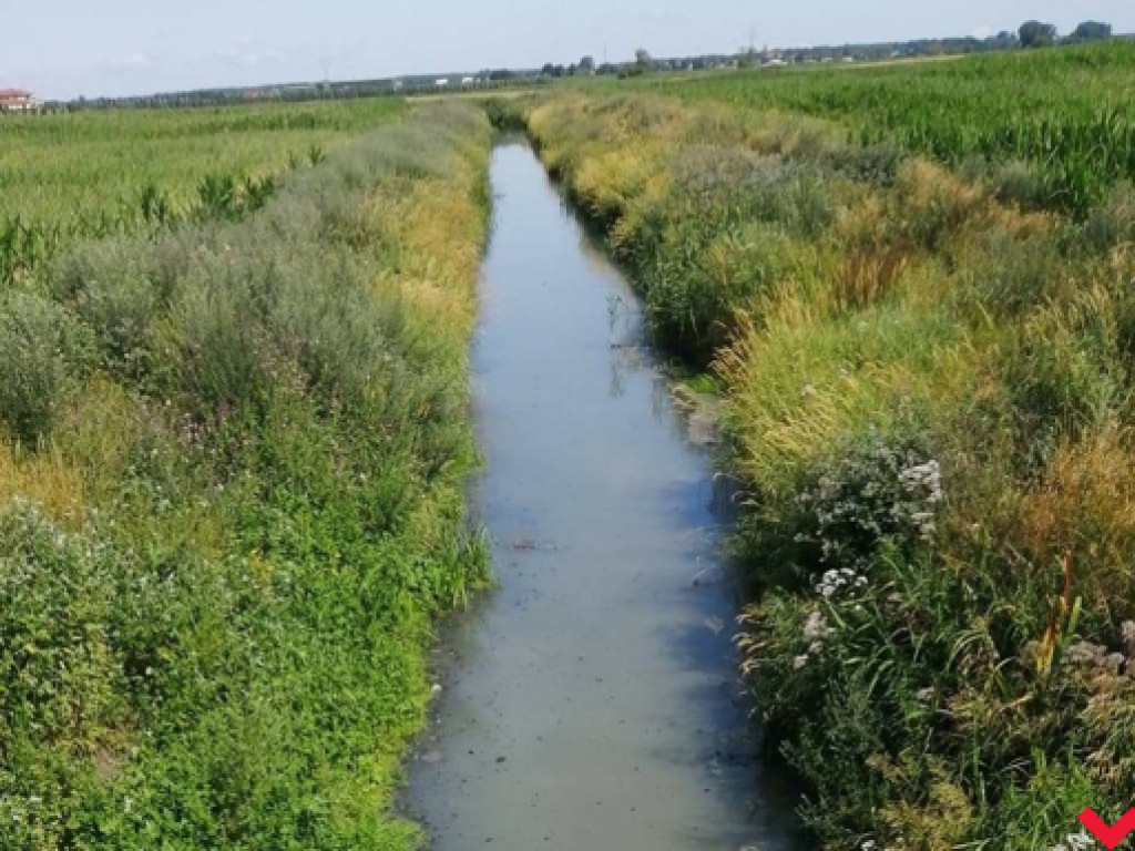 Żybura jak płynęła Wrześnicą tak płynie. Kolejne zanieczyszczenie rzeki