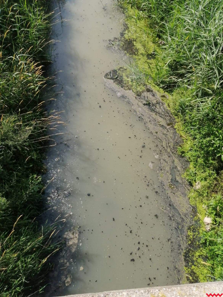 Żybura jak płynęła Wrześnicą tak płynie. Kolejne zanieczyszczenie rzeki