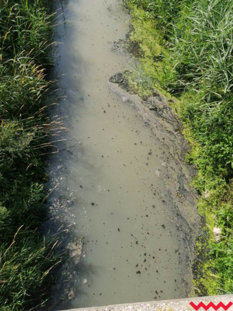Żybura jak płynęła Wrześnicą tak płynie. Kolejne zanieczyszczenie rzeki
