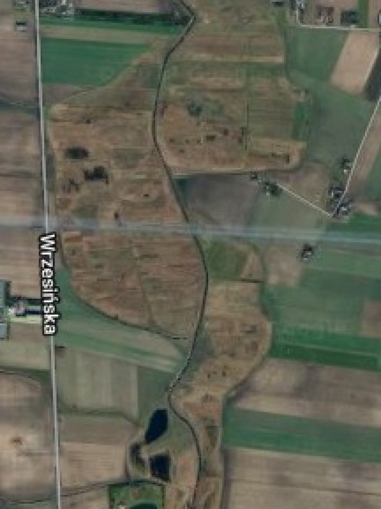 Żybura jak płynęła Wrześnicą tak płynie. Kolejne zanieczyszczenie rzeki