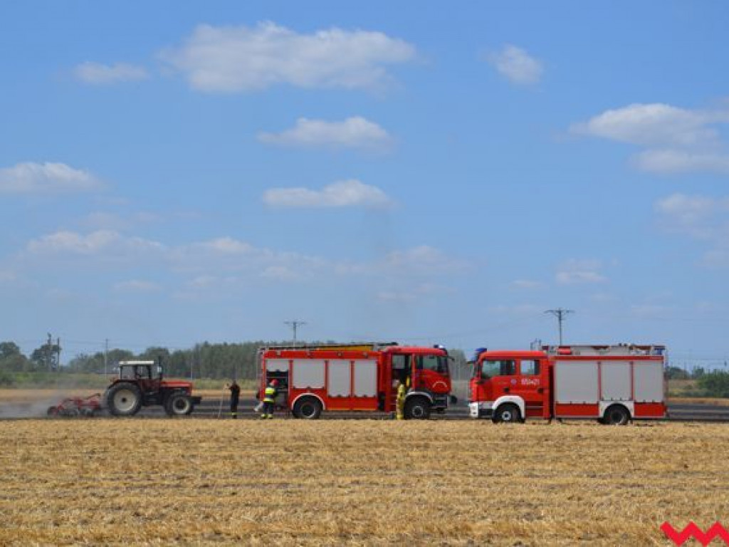 Niedopałek papierosa lub iskra z pociągu przyczyną groźnego pożaru na polu