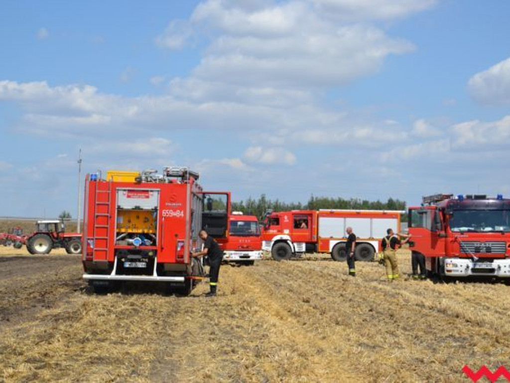 Niedopałek papierosa lub iskra z pociągu przyczyną groźnego pożaru na polu