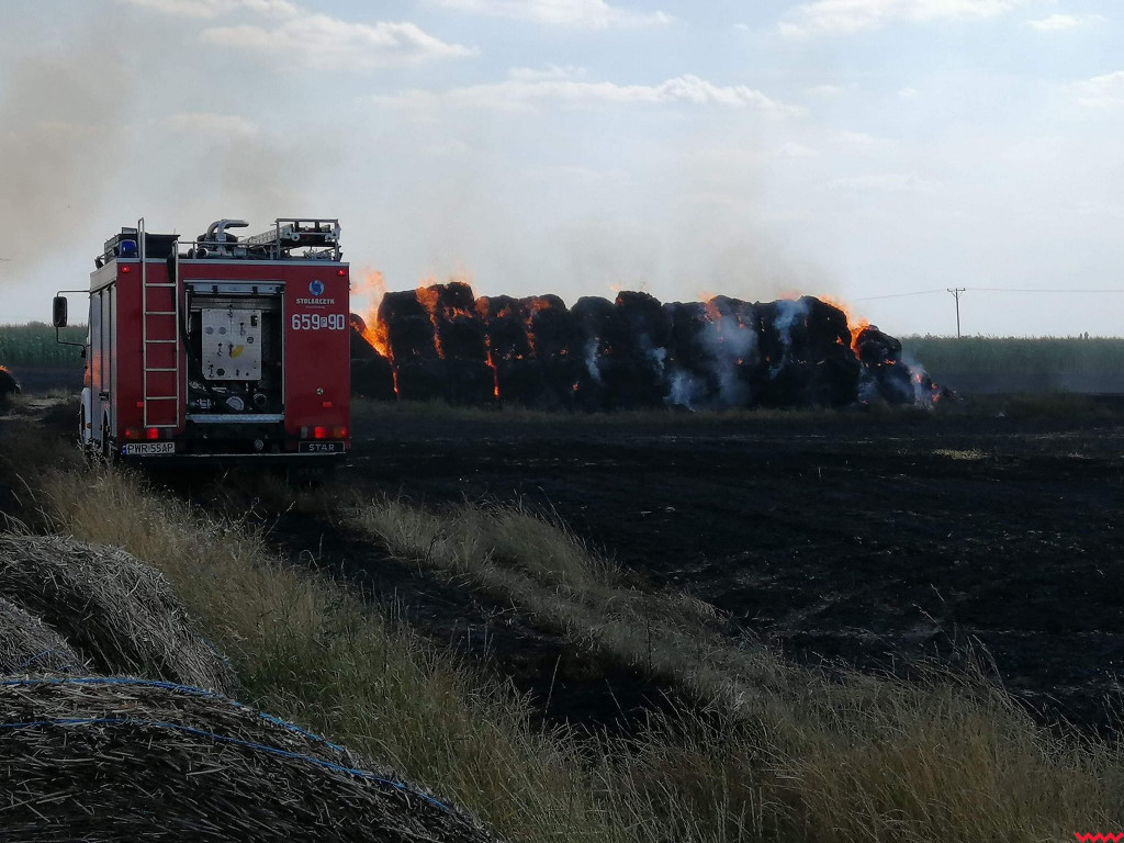 Kolejne pożary. Tym razem strażacy walczyli  z ogniem m.in. w Kaczanowie i Nekielce
