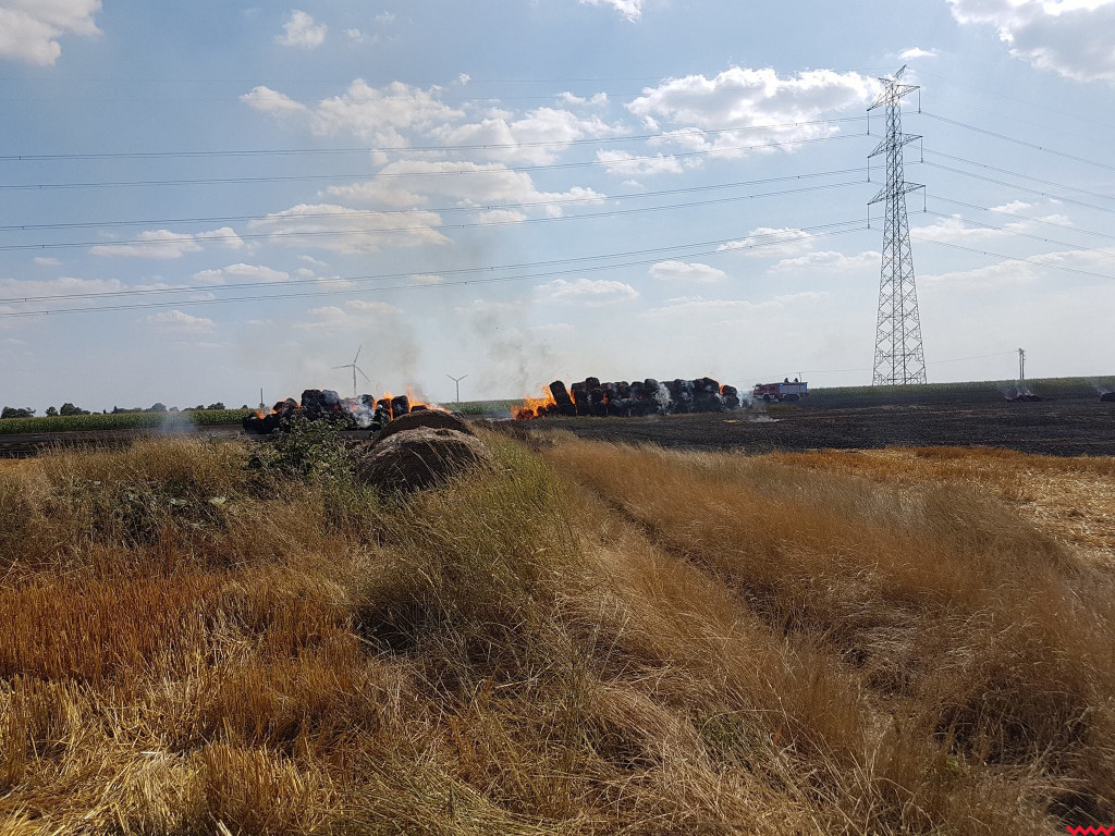 Kolejne pożary. Tym razem strażacy walczyli  z ogniem m.in. w Kaczanowie i Nekielce