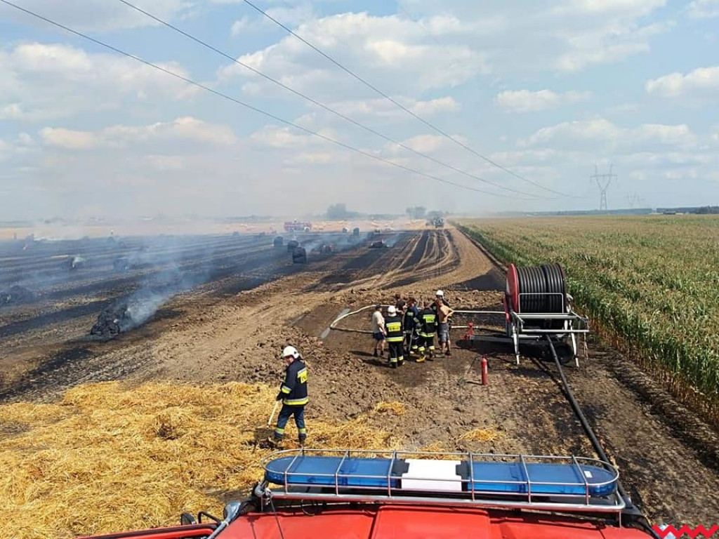 Kolejne pożary. Tym razem strażacy walczyli  z ogniem m.in. w Kaczanowie i Nekielce