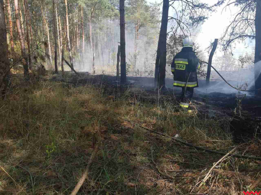 Pracowity dzień dla nekielskich strażaków. Zostali skierowani na trzy różne akcje
