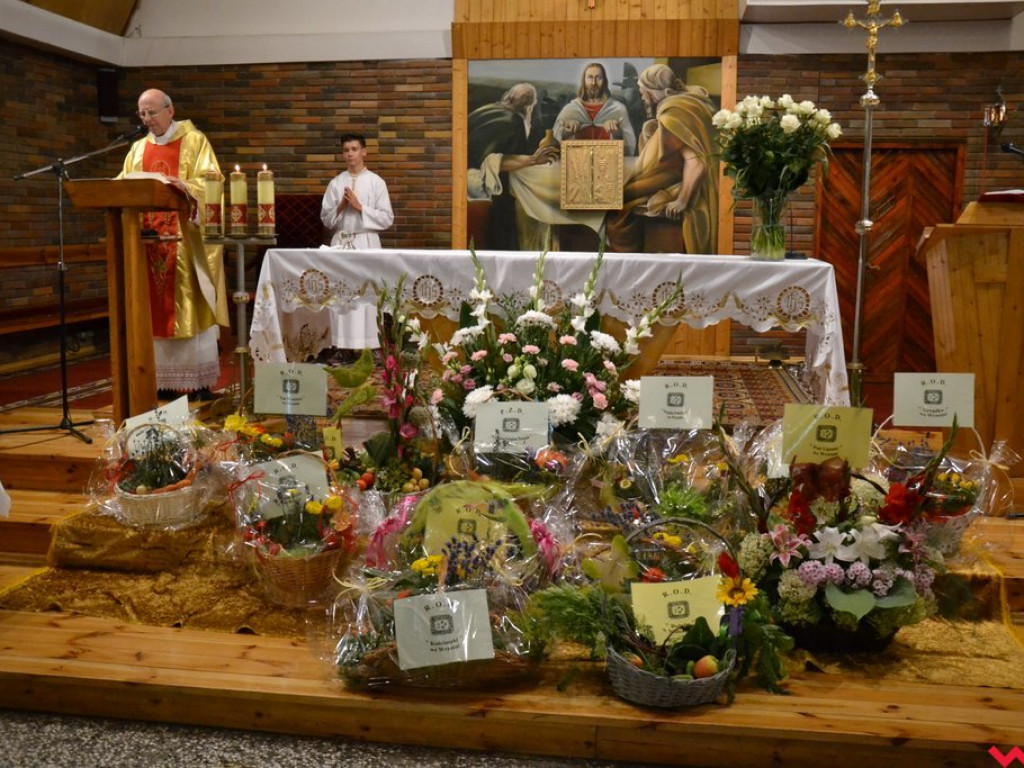 Święto zwykłych ludzi. Pochwała prostoty na Powiatowym Dniu Działkowca