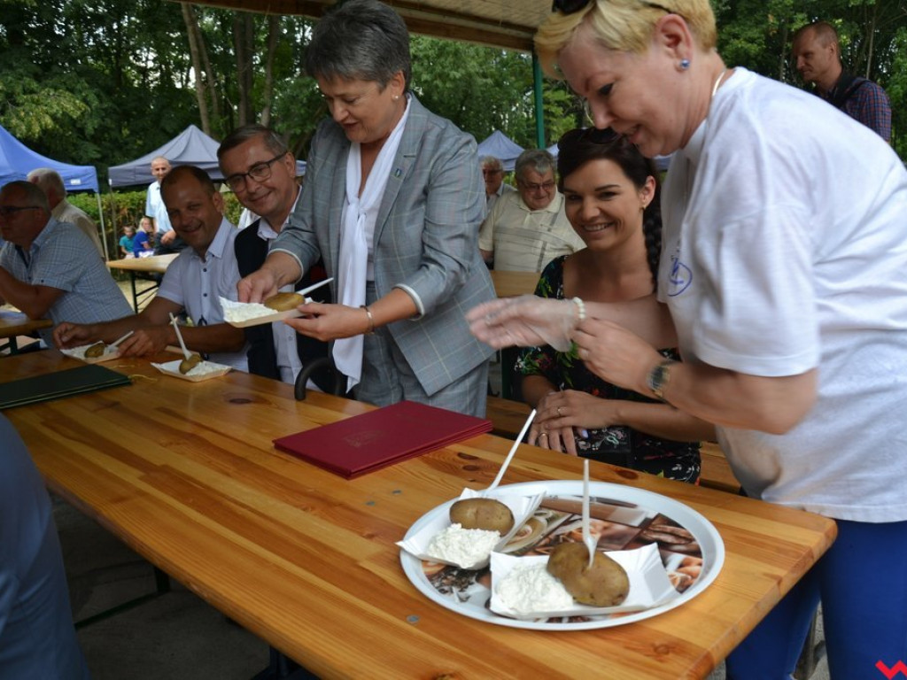 Święto zwykłych ludzi. Pochwała prostoty na Powiatowym Dniu Działkowca