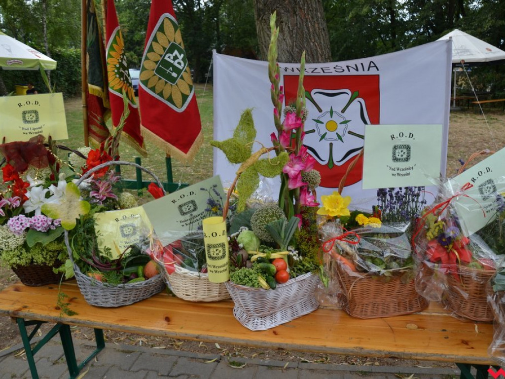 Święto zwykłych ludzi. Pochwała prostoty na Powiatowym Dniu Działkowca