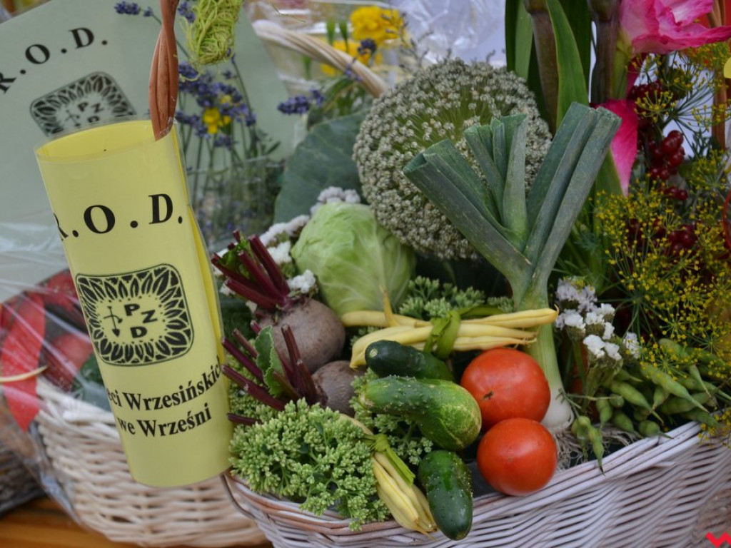 Święto zwykłych ludzi. Pochwała prostoty na Powiatowym Dniu Działkowca