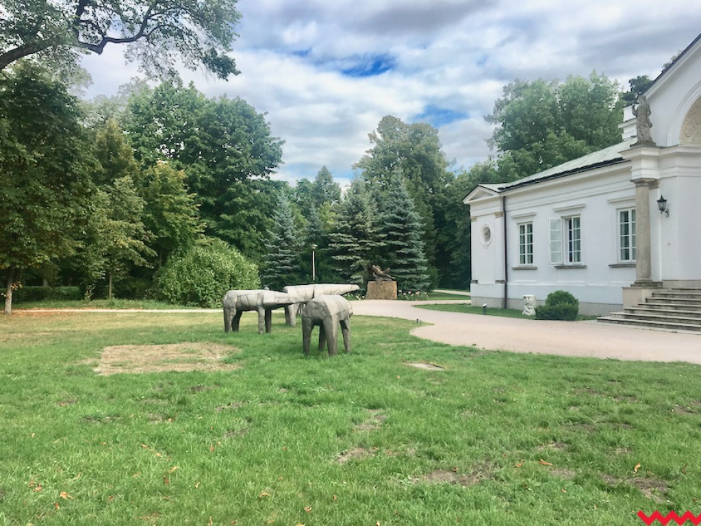 Rowerowo-samochodowa wyprawa na południowy-wschód Polski