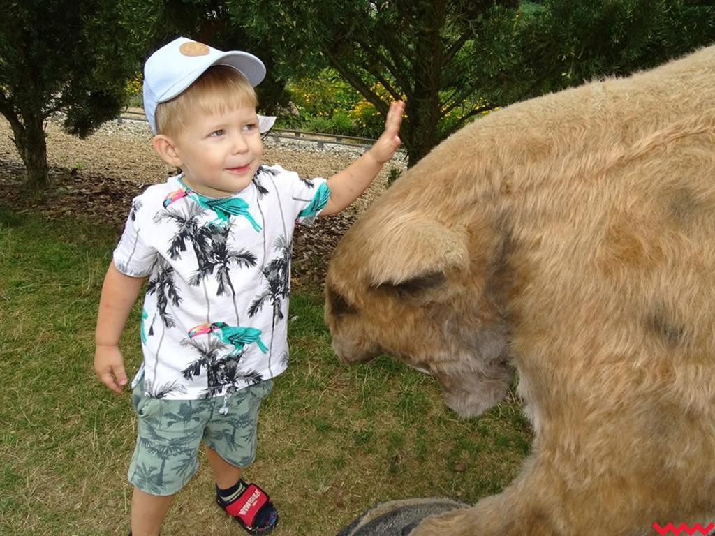 W czasie wakacji dzieci się nie nudzą