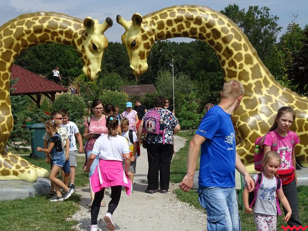 W czasie wakacji dzieci się nie nudzą