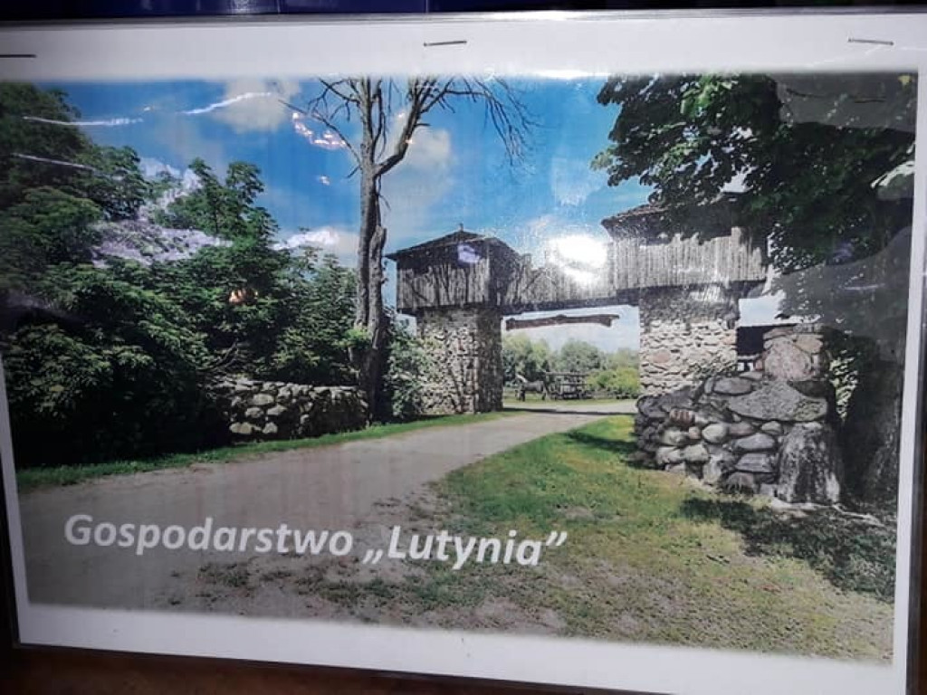 Wycieczka rowerowa z Czeszewa do Lutyni