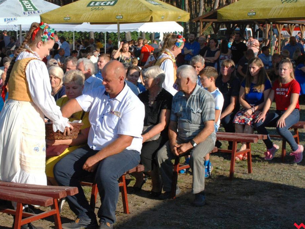 Śpiew, muzyka, tańce w podziękowaniu za plony. Dożynki w Dolnych Grądach