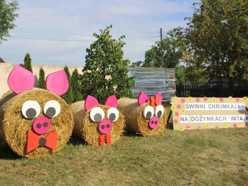 Dziękowali za zebrane plony w Opatówku. Największym hitem była loteria fantowa