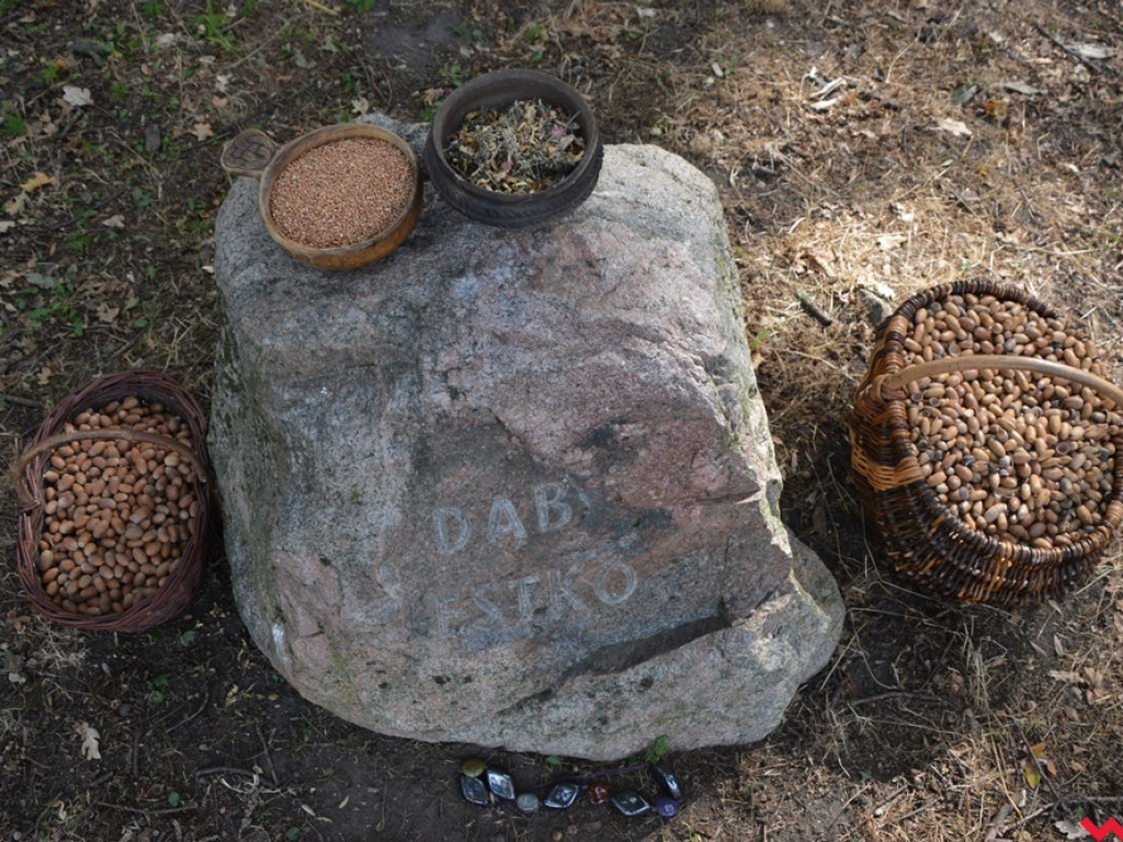 Ucieczka z uczty i pogrzeb wodza, czyli sobota na grzybowskim grodzie