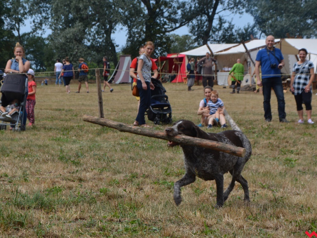 Ucieczka z uczty i pogrzeb wodza, czyli sobota na grzybowskim grodzie