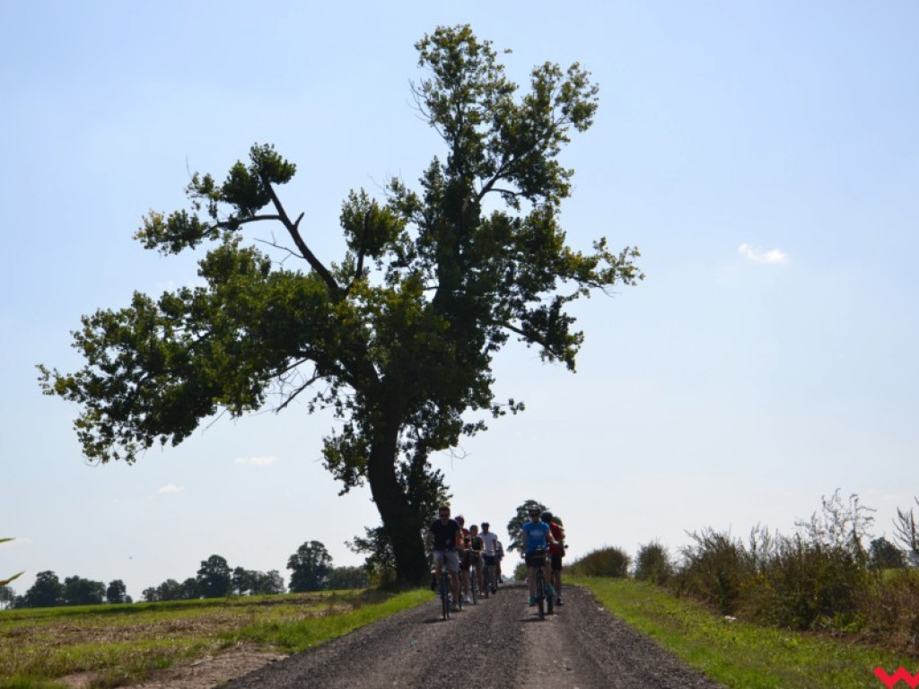 Przejażdżka rowerowa z Wrześni do Barda zakończyła się piknikiem