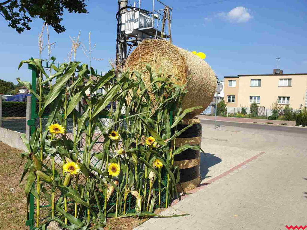 Czas na dożynkowe świętowanie! Przed nami powiatowe święto plonów w w Nekli