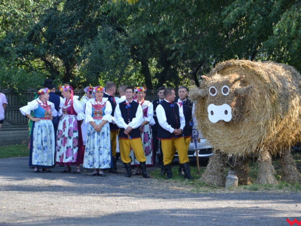 Burmistrz Miłosławia podzielił chleb, a wicestaroście nie podobało się uprawianie polityki