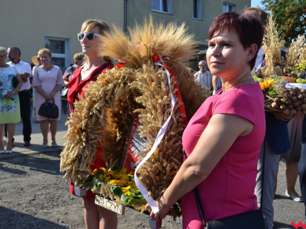 Burmistrz Miłosławia podzielił chleb, a wicestaroście nie podobało się uprawianie polityki
