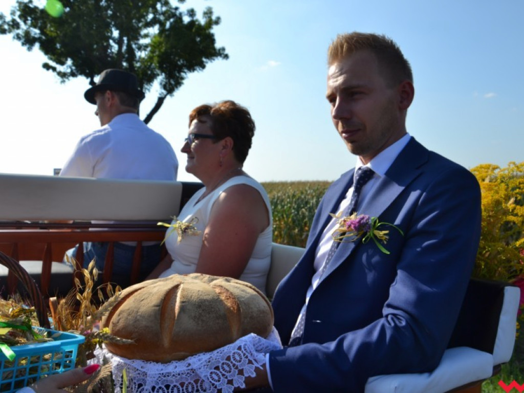 Burmistrz Miłosławia podzielił chleb, a wicestaroście nie podobało się uprawianie polityki