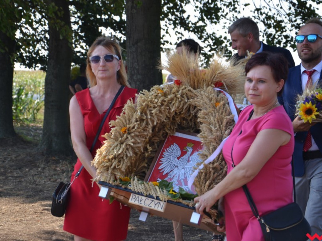Burmistrz Miłosławia podzielił chleb, a wicestaroście nie podobało się uprawianie polityki