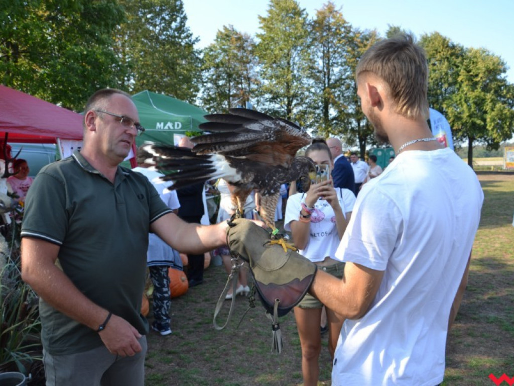 Burmistrz Miłosławia podzielił chleb, a wicestaroście nie podobało się uprawianie polityki