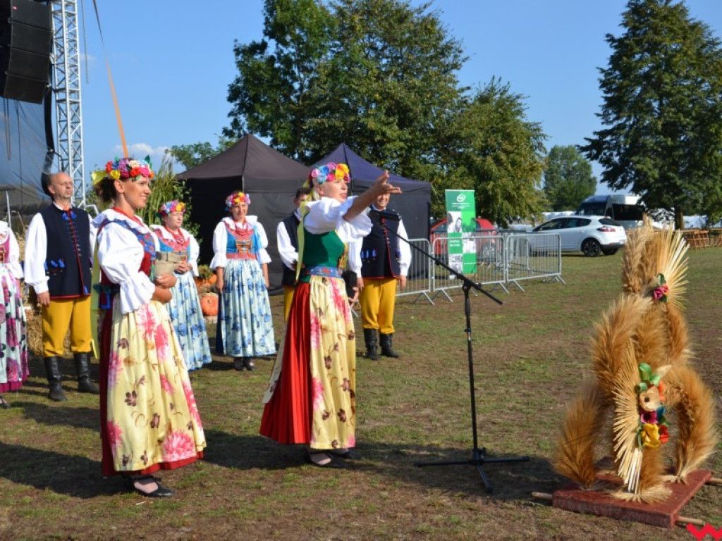 Burmistrz Miłosławia podzielił chleb, a wicestaroście nie podobało się uprawianie polityki