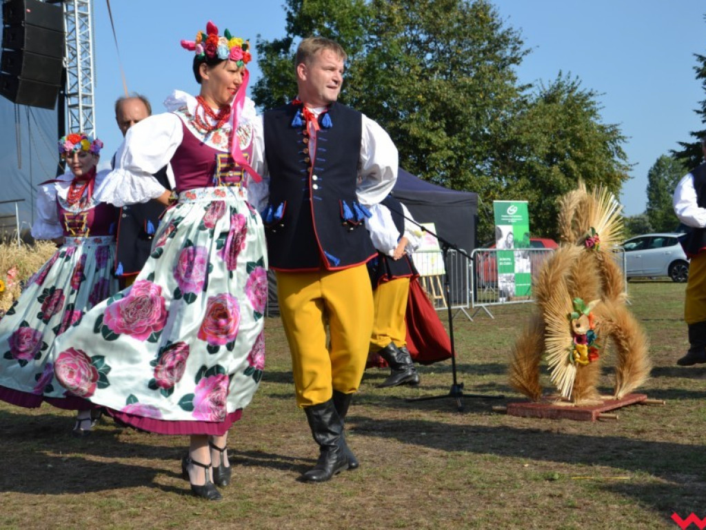 Burmistrz Miłosławia podzielił chleb, a wicestaroście nie podobało się uprawianie polityki
