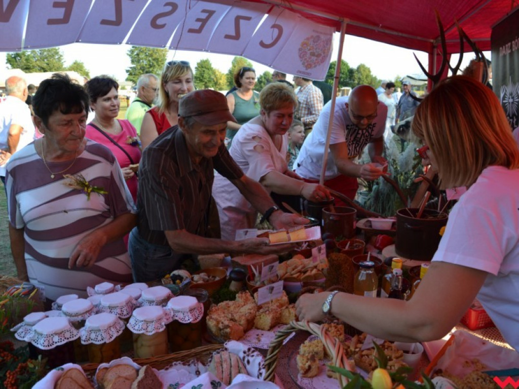 Burmistrz Miłosławia podzielił chleb, a wicestaroście nie podobało się uprawianie polityki