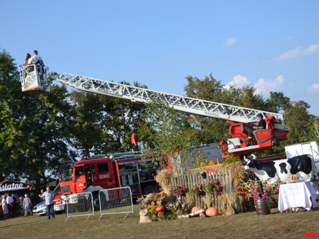 Burmistrz Miłosławia podzielił chleb, a wicestaroście nie podobało się uprawianie polityki