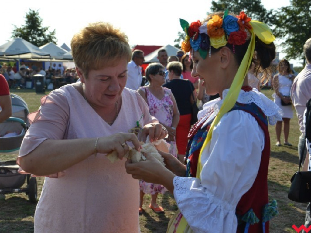 Burmistrz Miłosławia podzielił chleb, a wicestaroście nie podobało się uprawianie polityki
