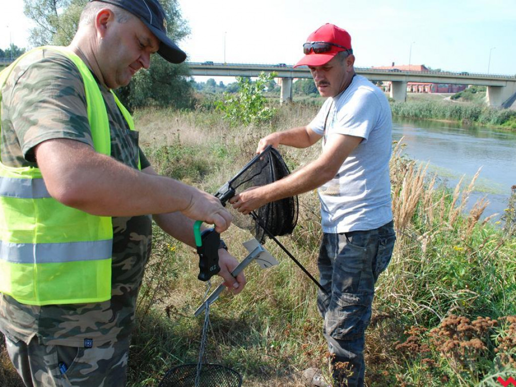 Pogoda rozpieszczała, za to ryby nie brały. Zawody wędkarskie nad Wartą
