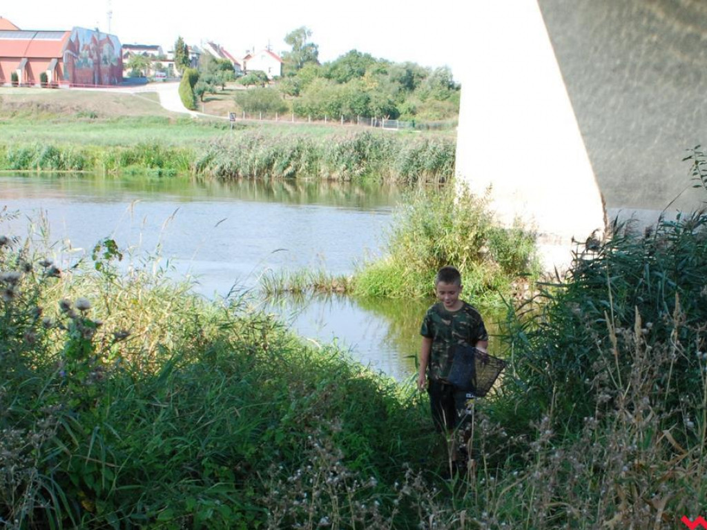 Pogoda rozpieszczała, za to ryby nie brały. Zawody wędkarskie nad Wartą