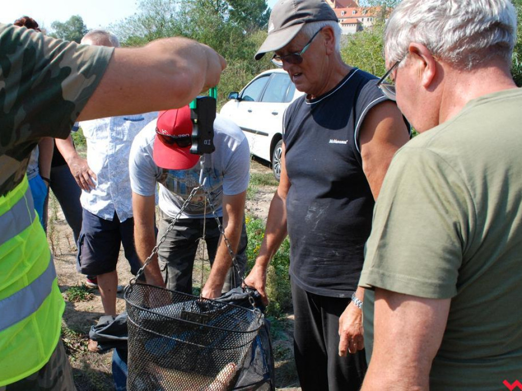 Pogoda rozpieszczała, za to ryby nie brały. Zawody wędkarskie nad Wartą