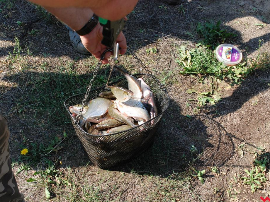 Pogoda rozpieszczała, za to ryby nie brały. Zawody wędkarskie nad Wartą