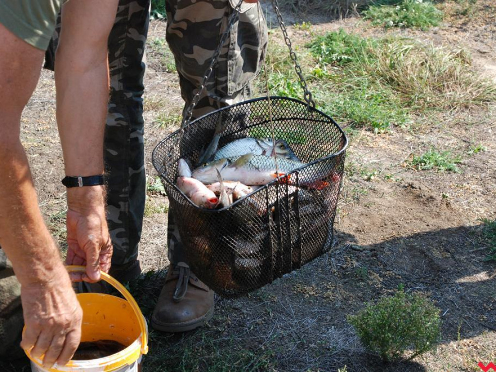 Pogoda rozpieszczała, za to ryby nie brały. Zawody wędkarskie nad Wartą