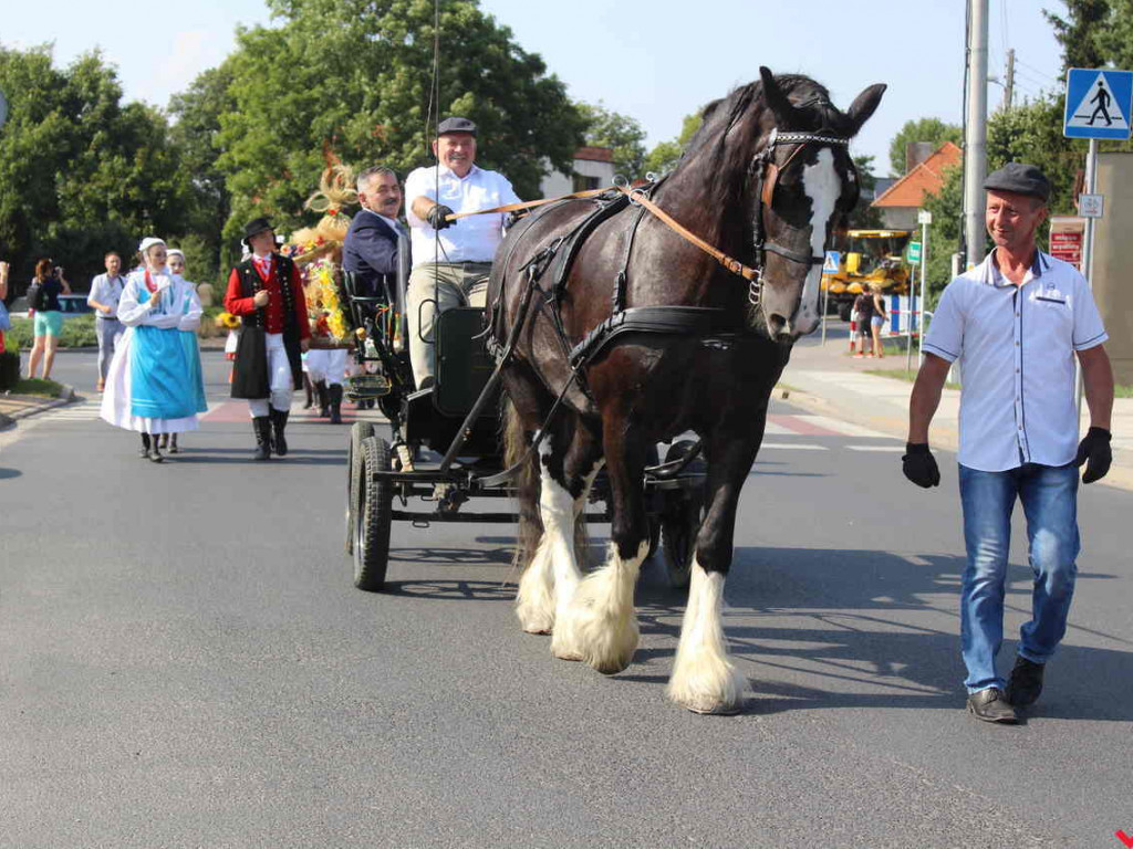 Rolnicy i działacze odznaczeni podczas święta plonów. Dożynki powiatowe w skwarze