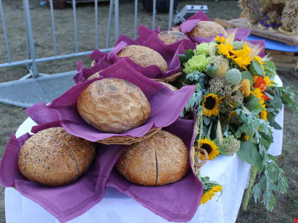 Rolnicy i działacze odznaczeni podczas święta plonów. Dożynki powiatowe w skwarze