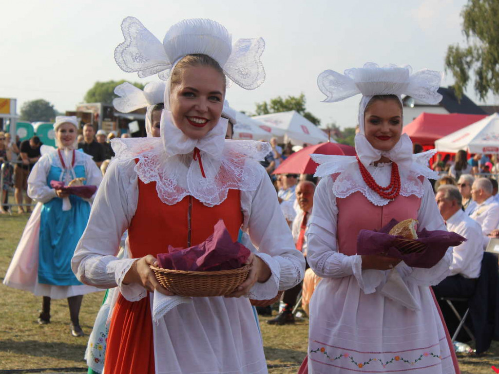 Rolnicy i działacze odznaczeni podczas święta plonów. Dożynki powiatowe w skwarze