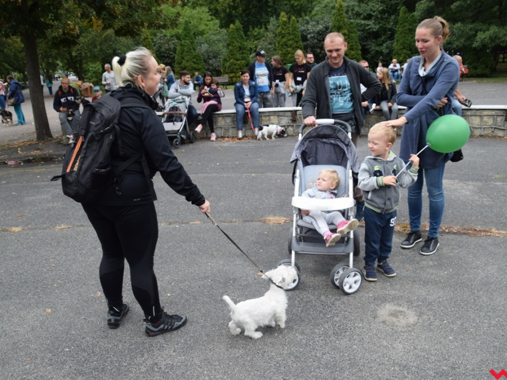 Psy i ich przyjaciele, czyli schroniskowy piknik pełen pozytywnej energii