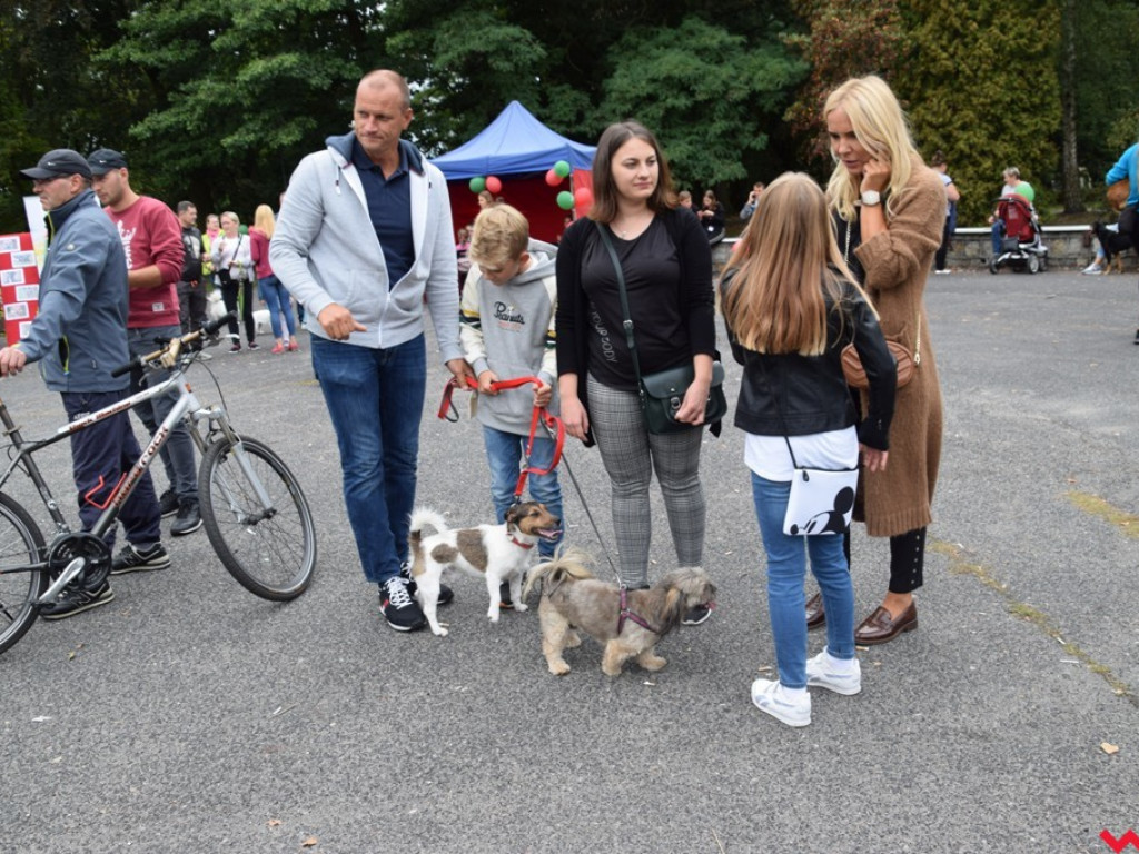 Psy i ich przyjaciele, czyli schroniskowy piknik pełen pozytywnej energii